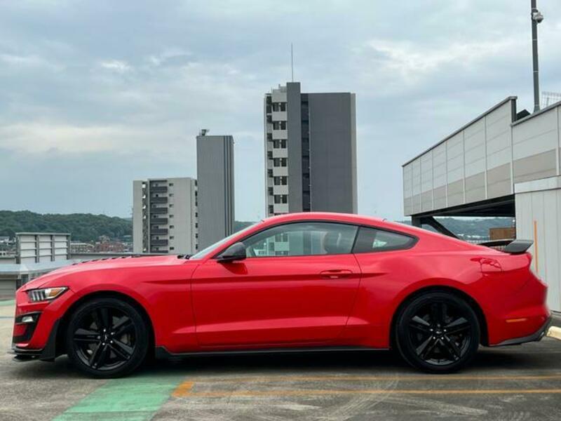 MUSTANG