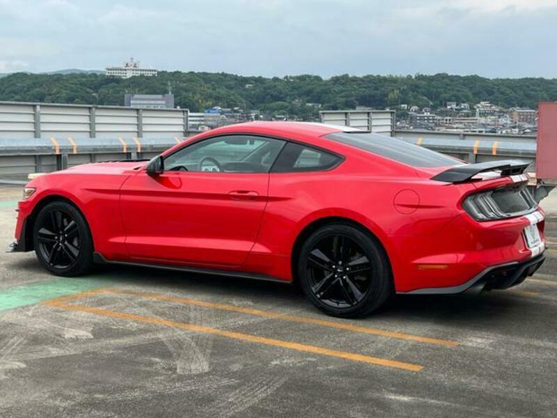 MUSTANG