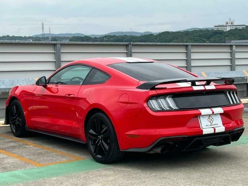 MUSTANG