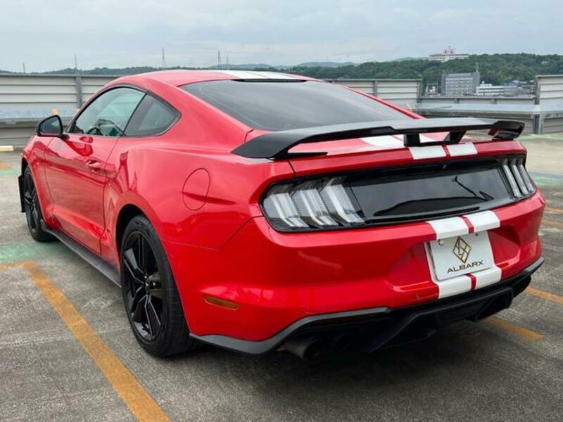 MUSTANG