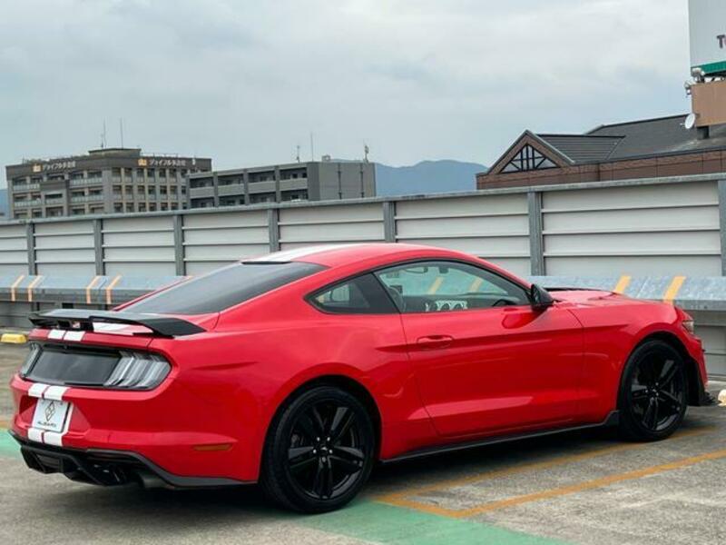 MUSTANG