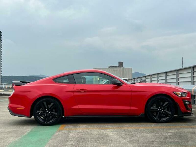 MUSTANG