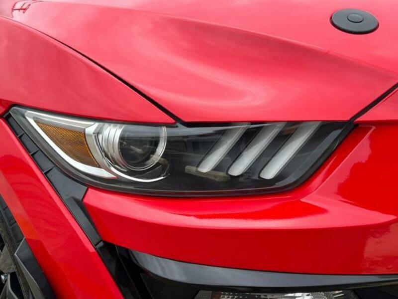 MUSTANG