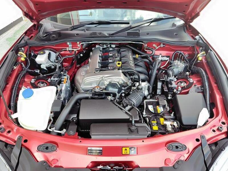 ROADSTER RF