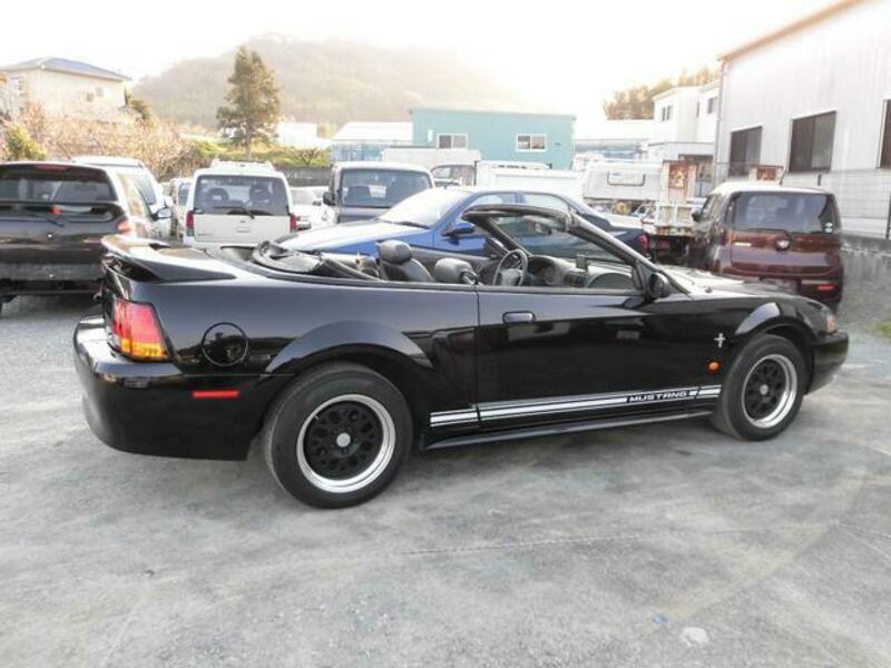 MUSTANG