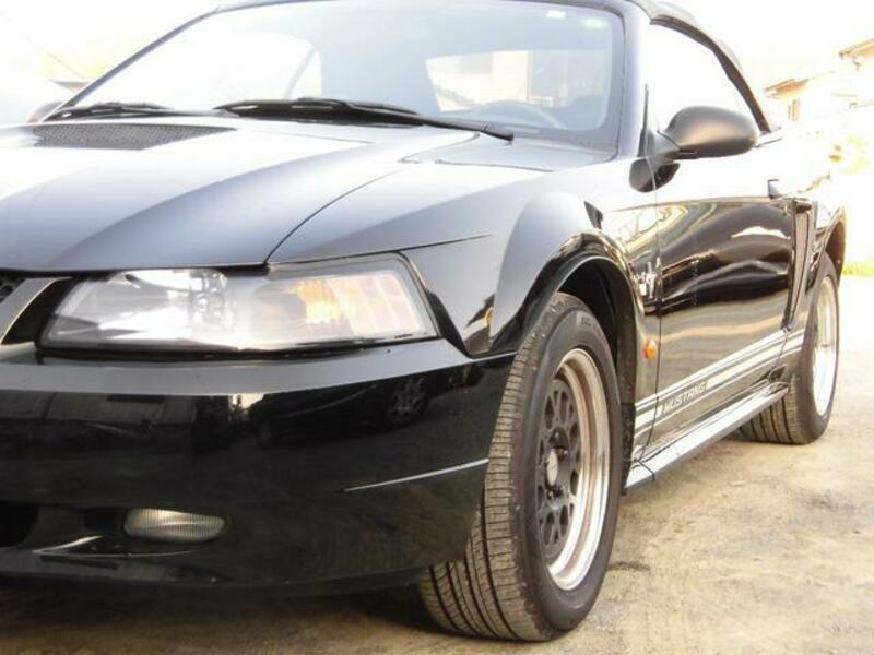 MUSTANG