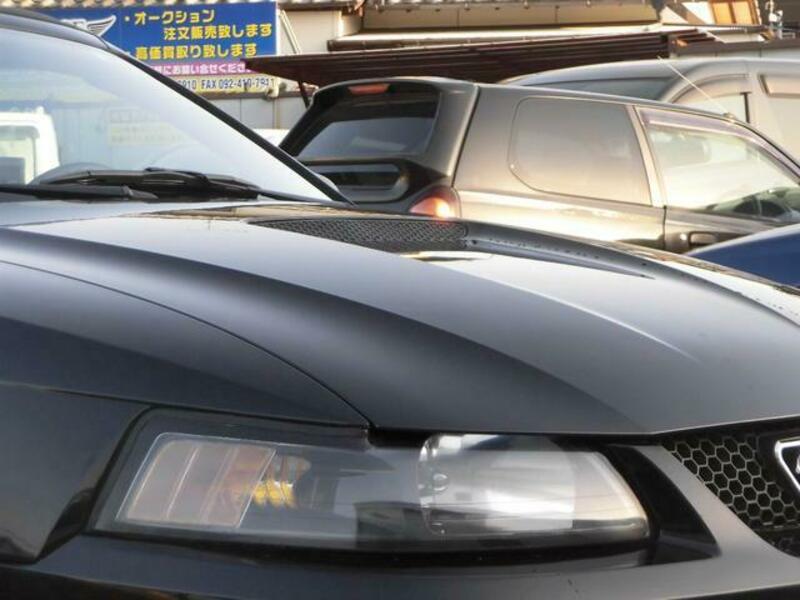 MUSTANG