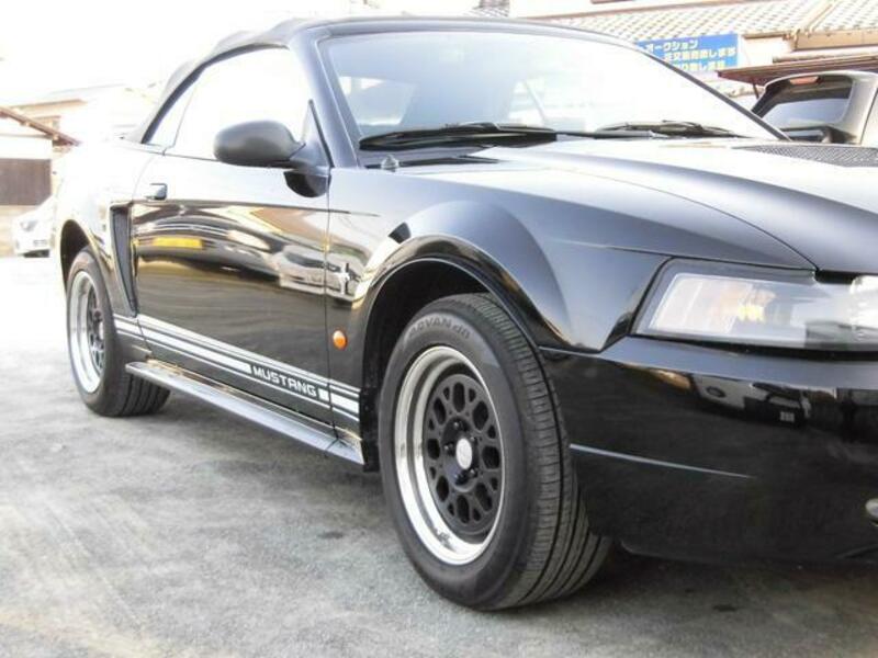 MUSTANG