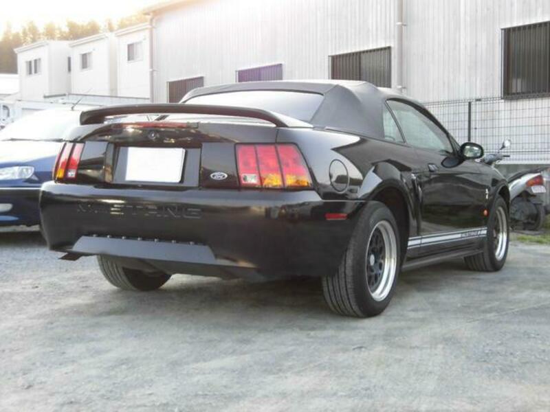 MUSTANG