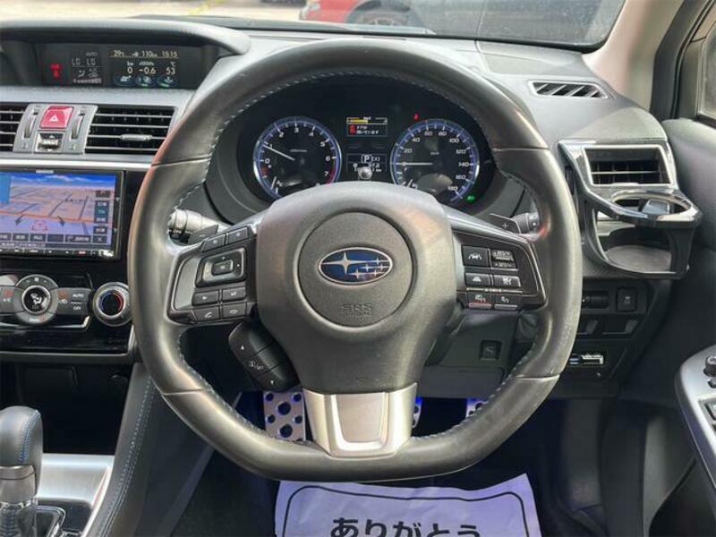LEVORG