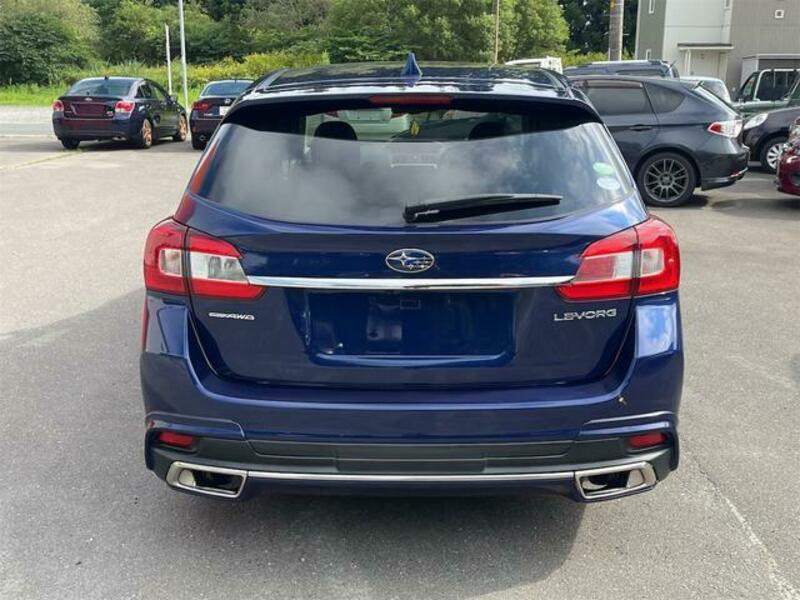 LEVORG
