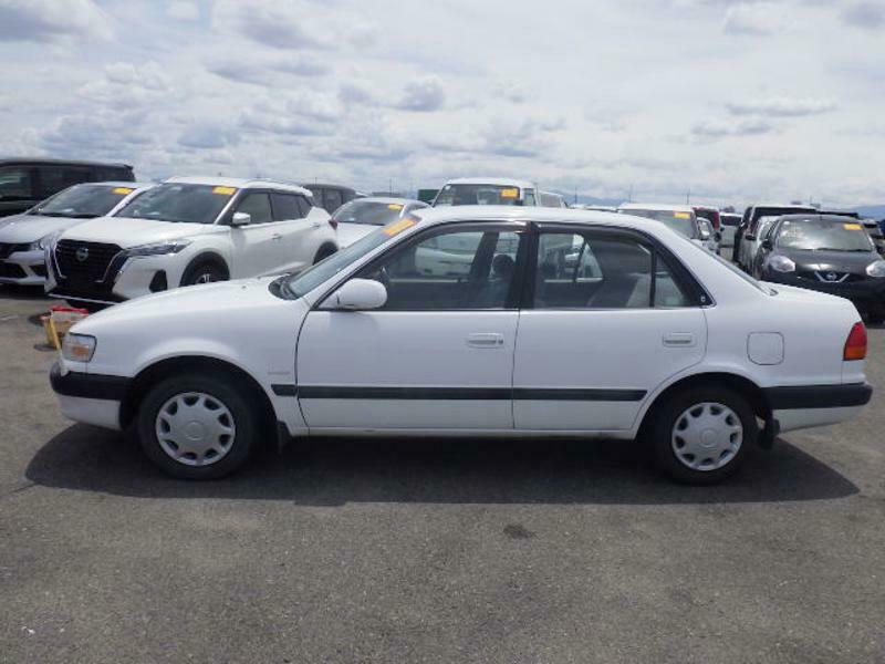 COROLLA