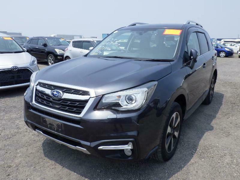 FORESTER