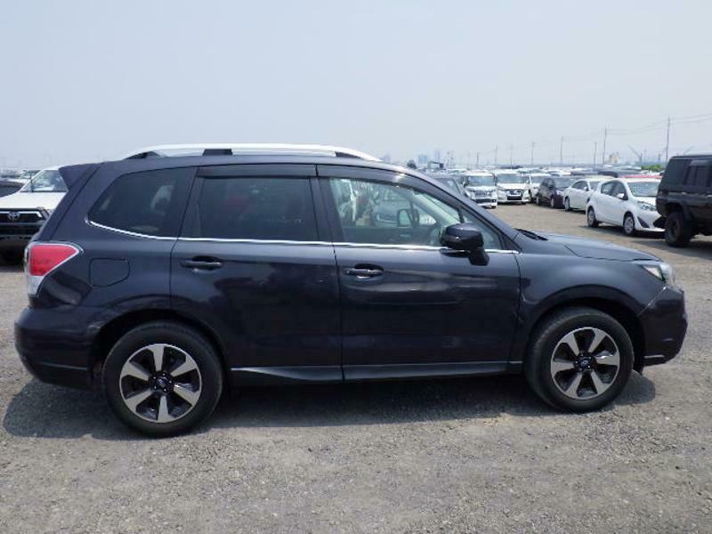 FORESTER