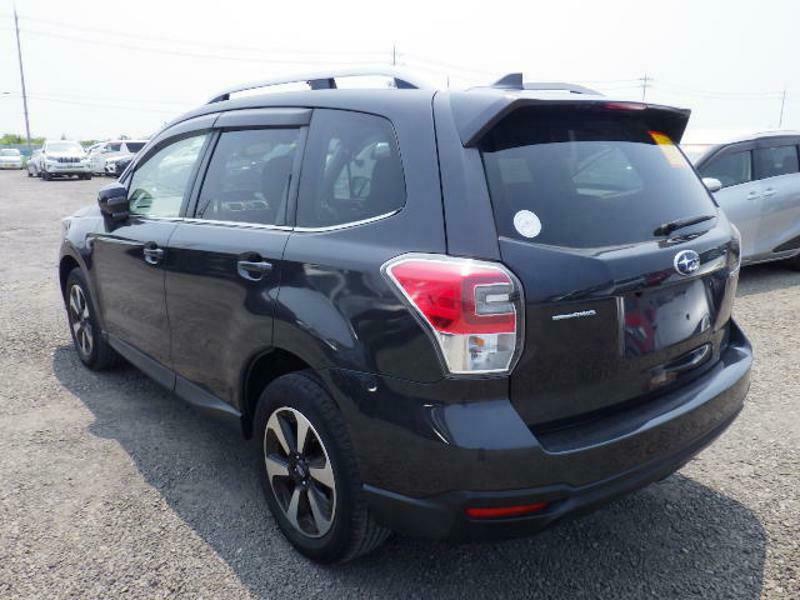 FORESTER