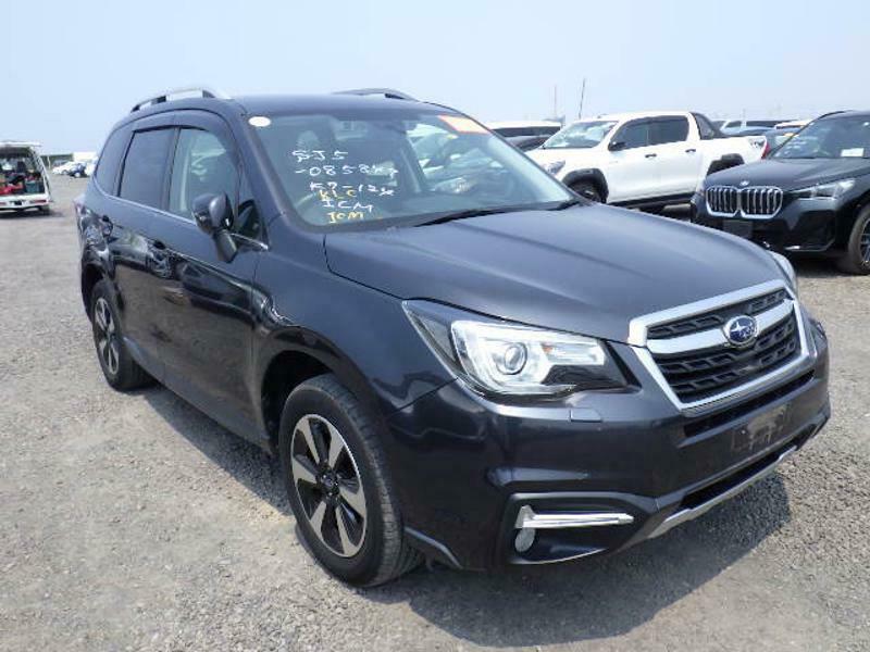 FORESTER-0