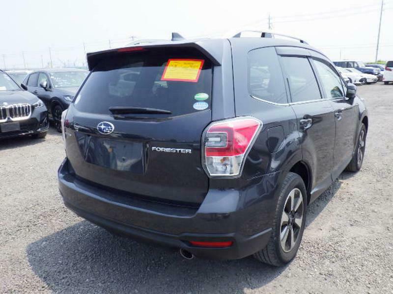 FORESTER