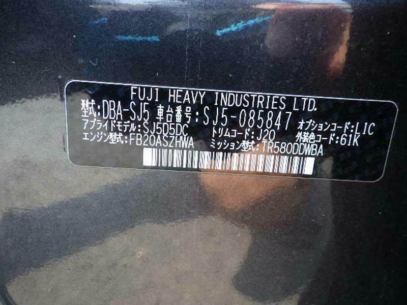 FORESTER