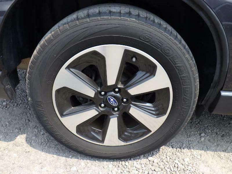 FORESTER
