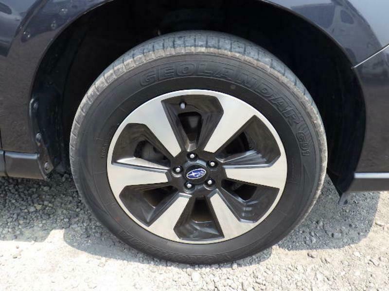 FORESTER