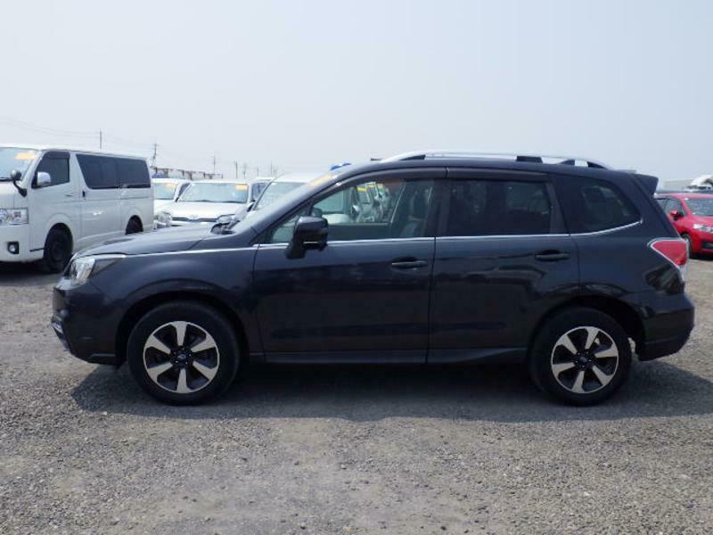 FORESTER