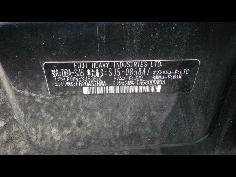 FORESTER
