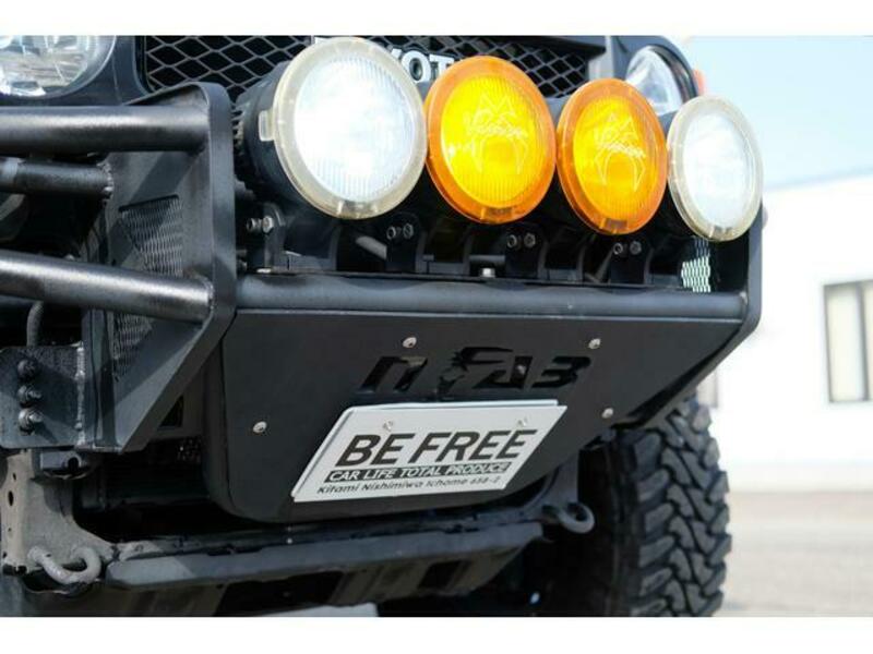 FJ CRUISER