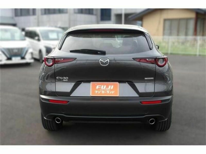 CX-30
