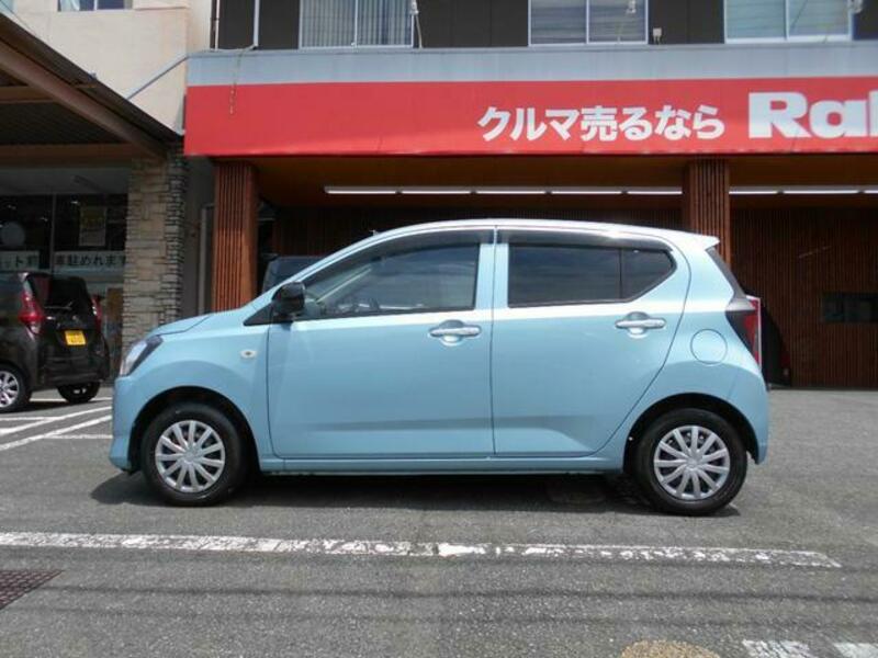 PLEO PLUS