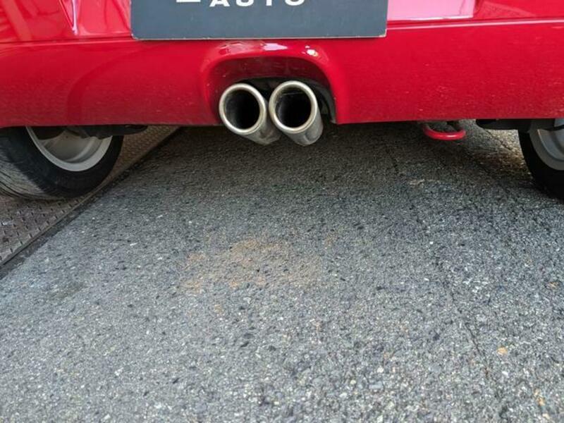 LUPO