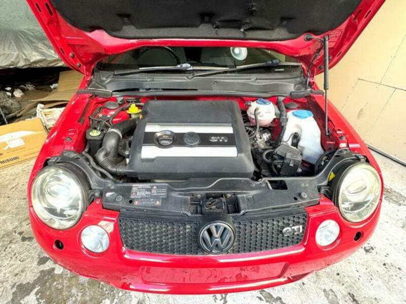LUPO