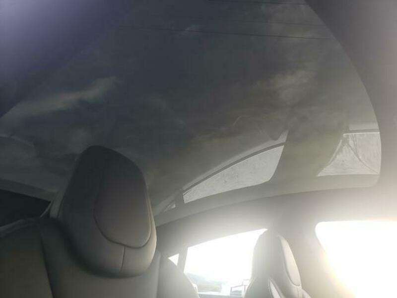 MODEL S