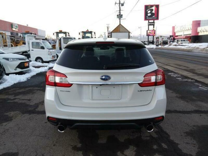LEVORG