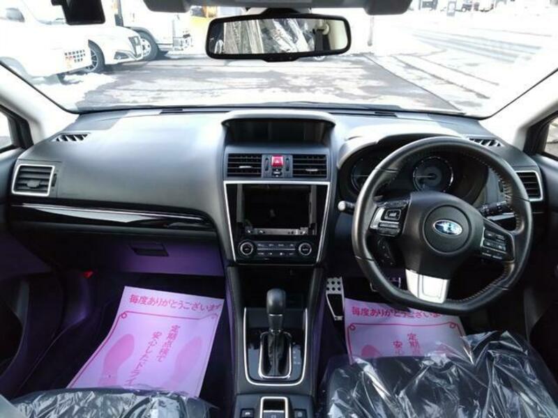 LEVORG