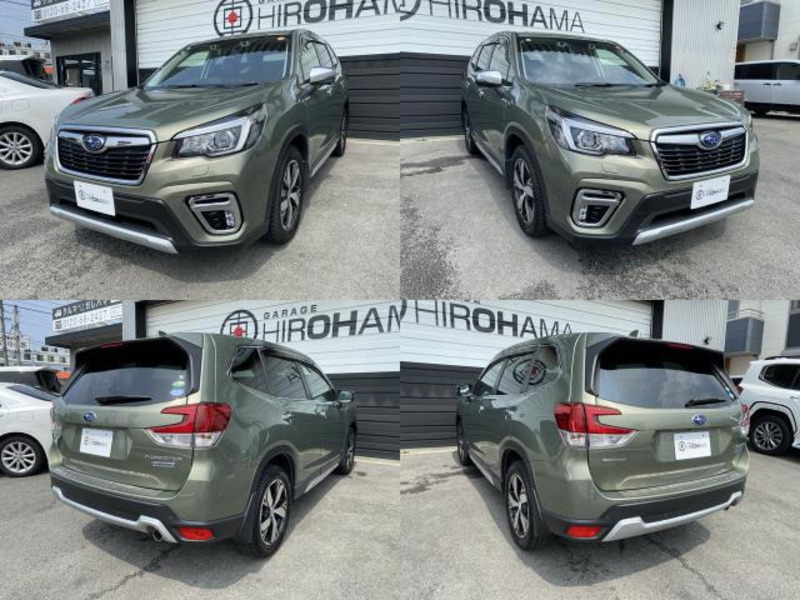 FORESTER