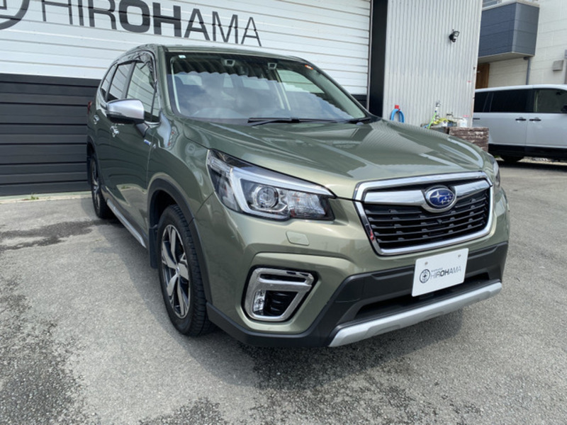 FORESTER