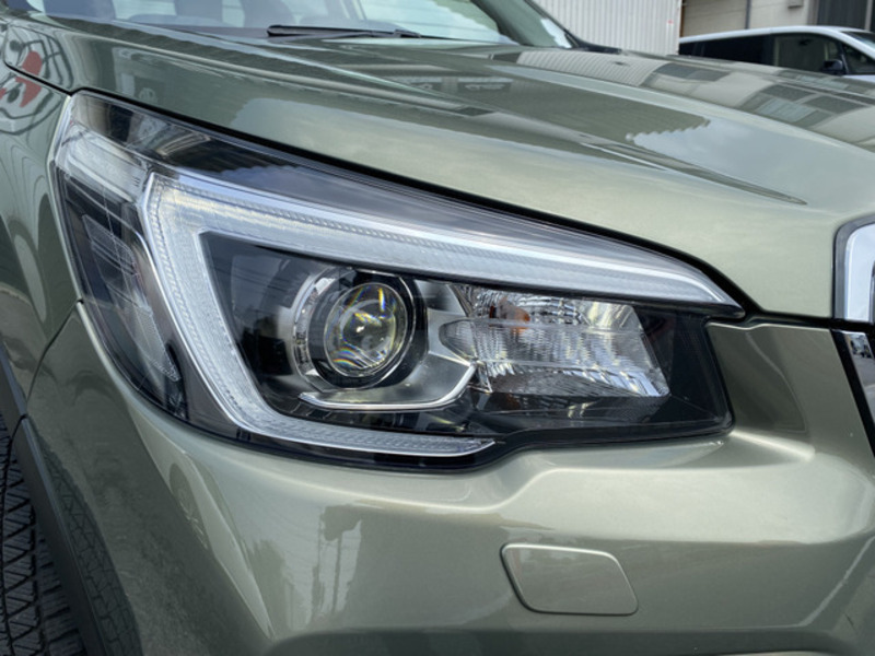 FORESTER