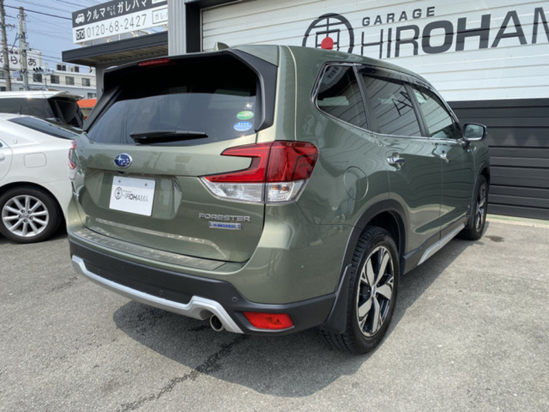 FORESTER