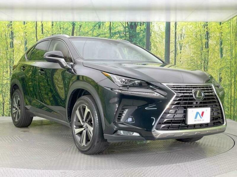 NX