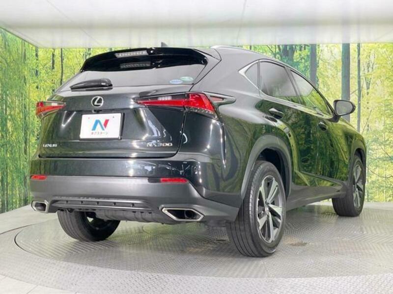 NX