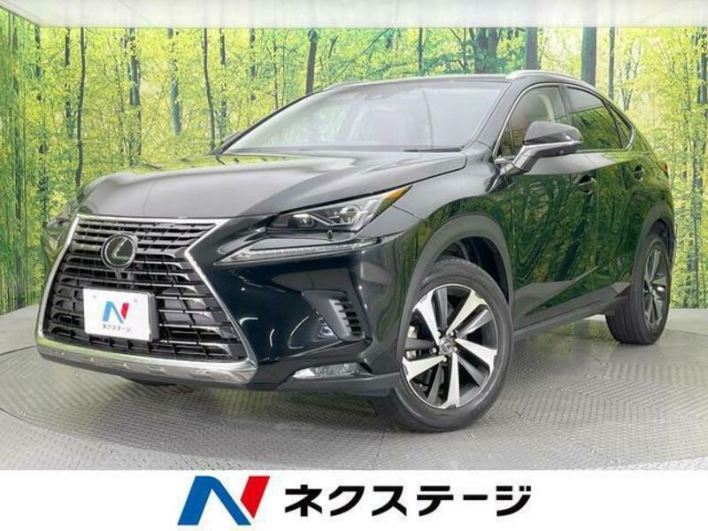 LEXUS NX