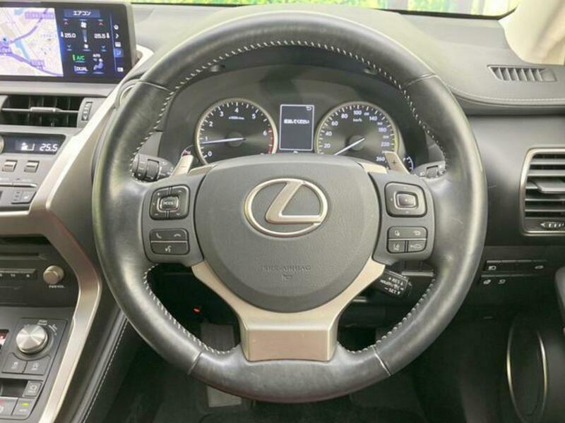 NX