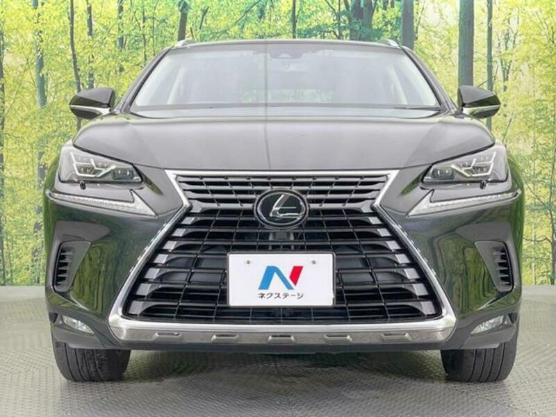 NX