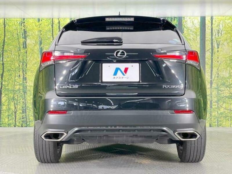 NX