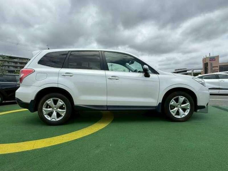 FORESTER