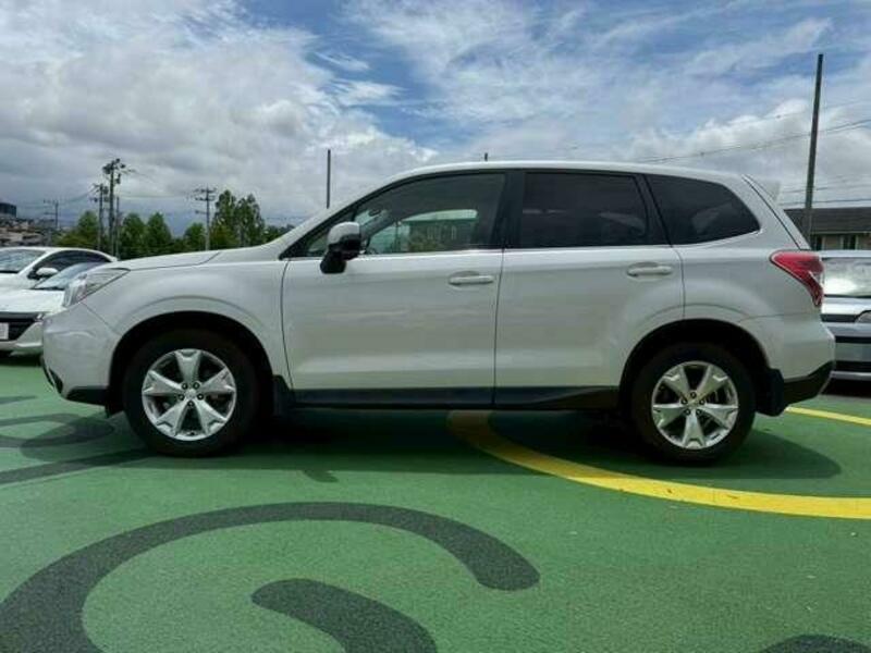 FORESTER
