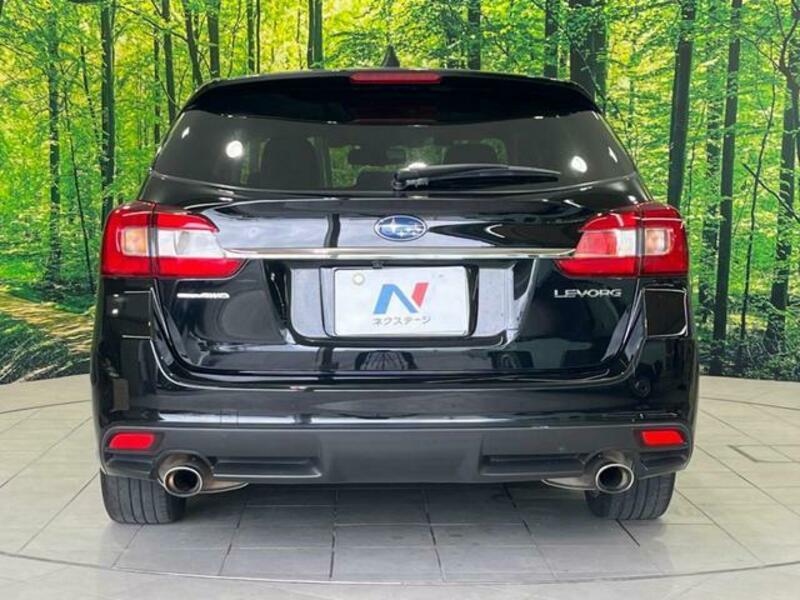 LEVORG