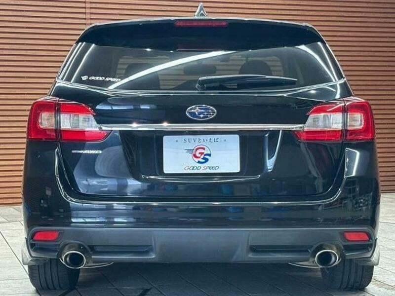 LEVORG