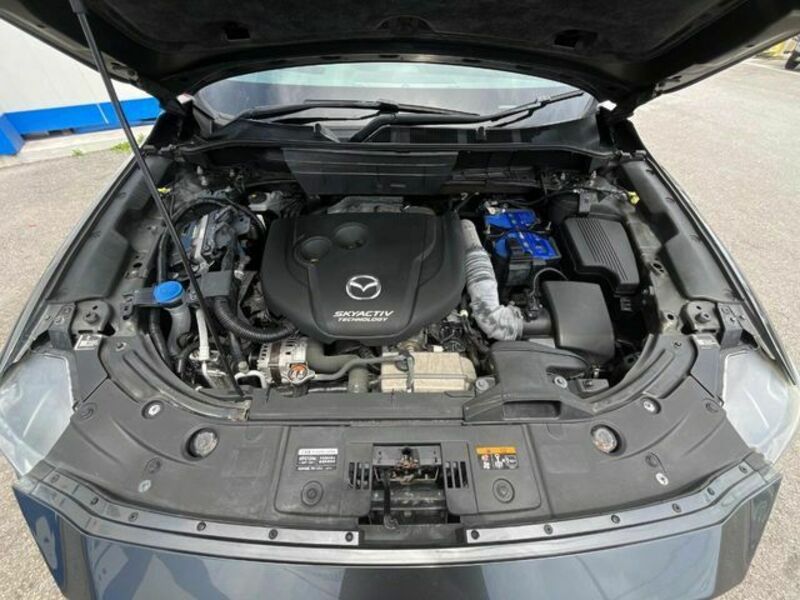 CX-8