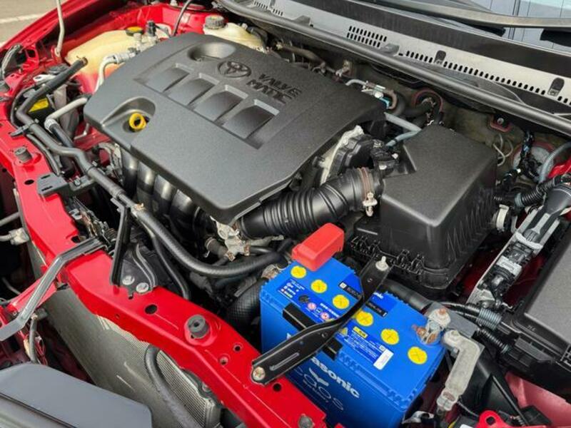 AURIS